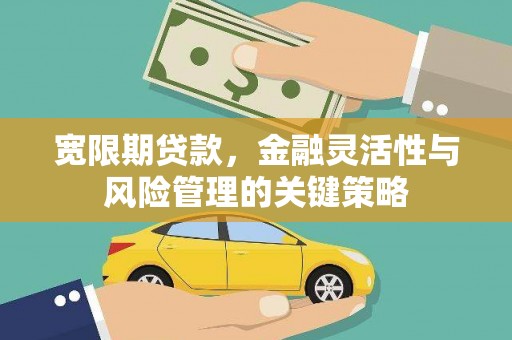 湘东宽限期贷款，金融灵活性与风险管理的关键策略