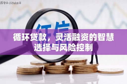 湘东循环贷款，灵活融资的智慧选择与风险控制