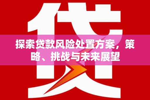湘东探索贷款风险处置方案，策略、挑战与未来展望
