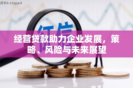 湘东经营贷款助力企业发展，策略、风险与未来展望