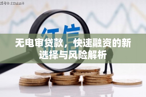 湘东无电审贷款，快速融资的新选择与风险解析