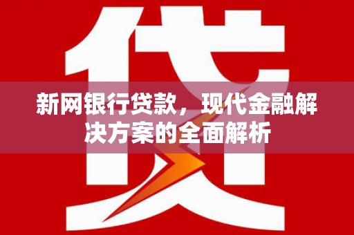 湘东新网银行贷款，现代金融解决方案的全面解析