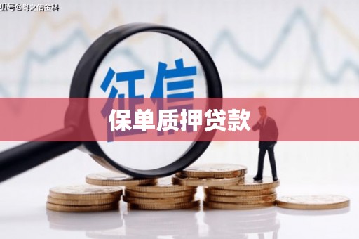 湘东保单质押贷款