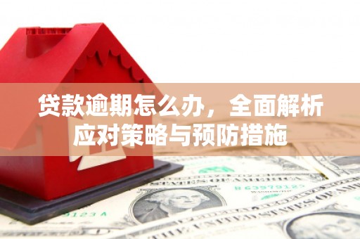 湘东贷款逾期怎么办，全面解析应对策略与预防措施