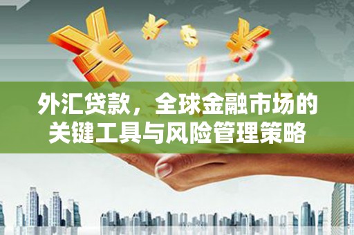湘东外汇贷款，全球金融市场的关键工具与风险管理策略