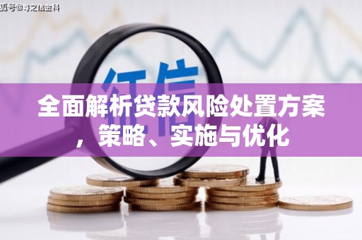 湘东全面解析贷款风险处置方案，策略、实施与优化