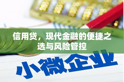湘东信用贷，现代金融的便捷之选与风险管控