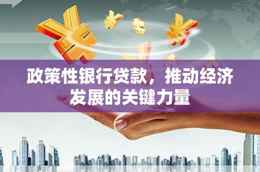 湘东政策性银行贷款，推动经济发展的关键力量