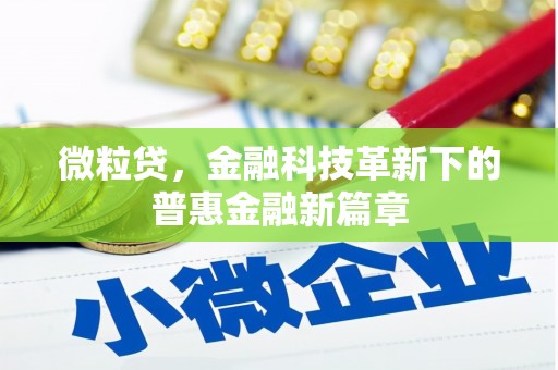 湘东微粒贷，金融科技革新下的普惠金融新篇章