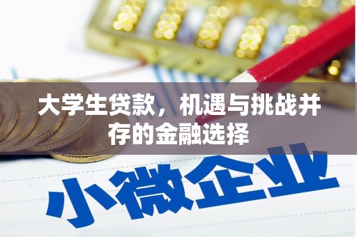 湘东大学生贷款，机遇与挑战并存的金融选择