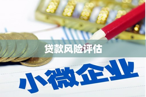 湘东贷款风险评估