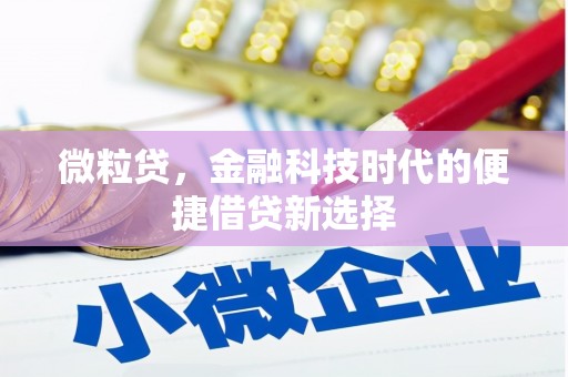 湘东微粒贷，金融科技时代的便捷借贷新选择