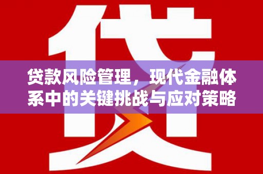 湘东贷款风险管理，现代金融体系中的关键挑战与应对策略