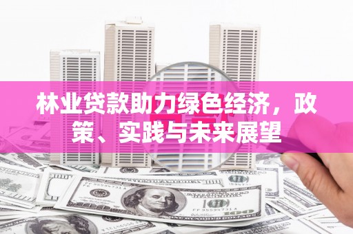 湘东林业贷款助力绿色经济，政策、实践与未来展望