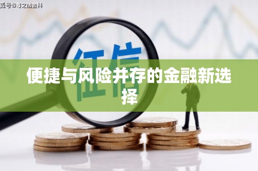 湘东便捷与风险并存的金融新选择