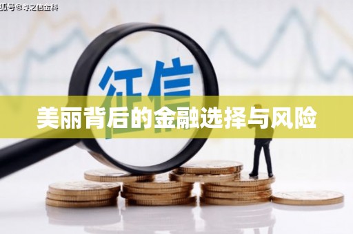 湘东美丽背后的金融选择与风险