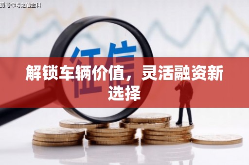 湘东解锁车辆价值，灵活融资新选择