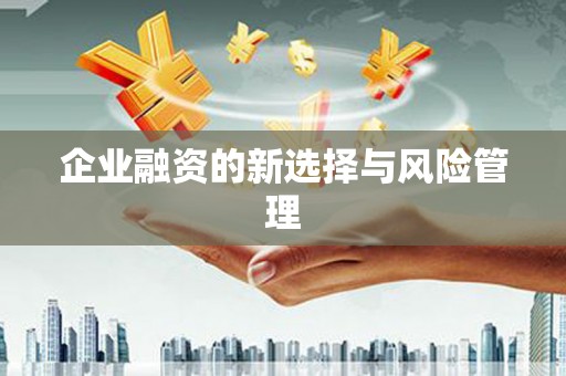 湘东企业融资的新选择与风险管理