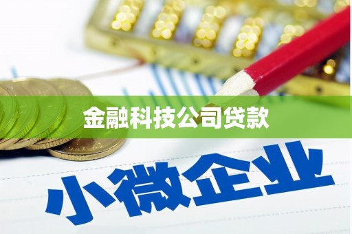 湘东金融科技公司贷款