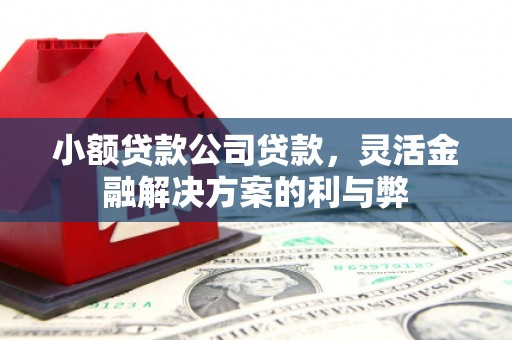 湘东小额贷款公司贷款，灵活金融解决方案的利与弊